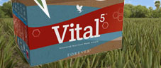 NOVINKA a jednoduchý preventivní a ozdravný program VITAL-5